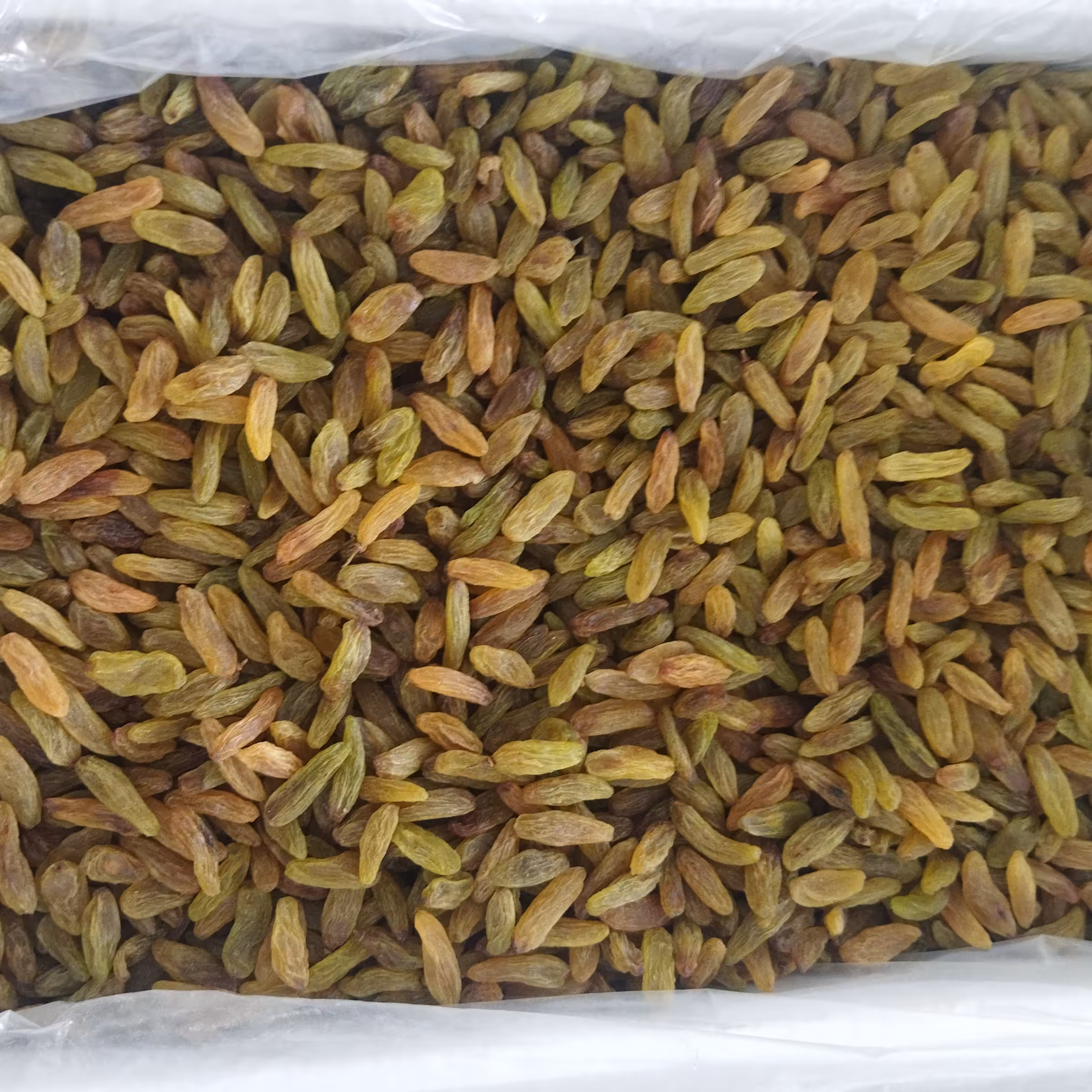 کشمش سبز درج 2