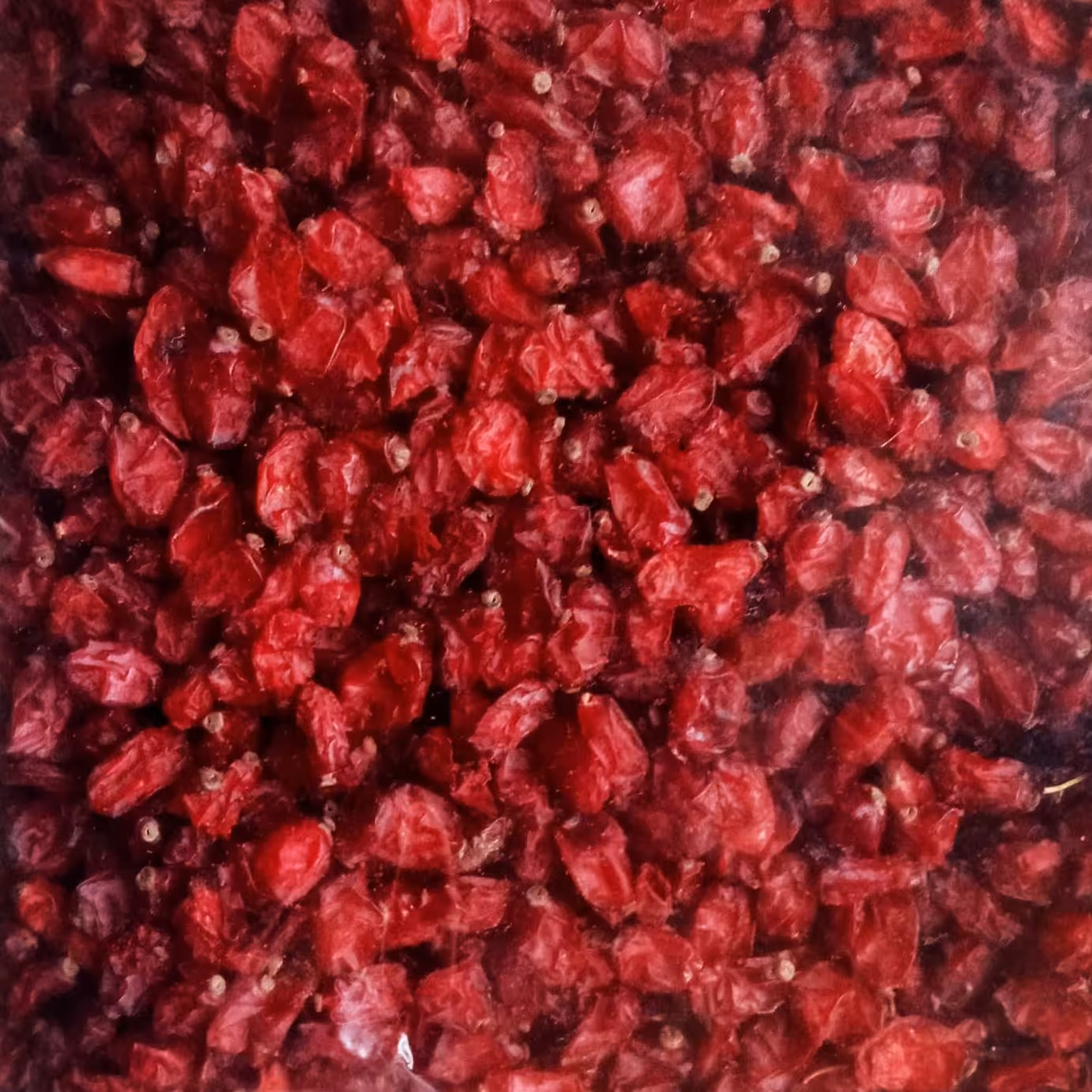 زرشک دونه اناری در بسته های یک کیلویی ونیم کیلویی  مرغوب وبا قیمت بسیار مناسب