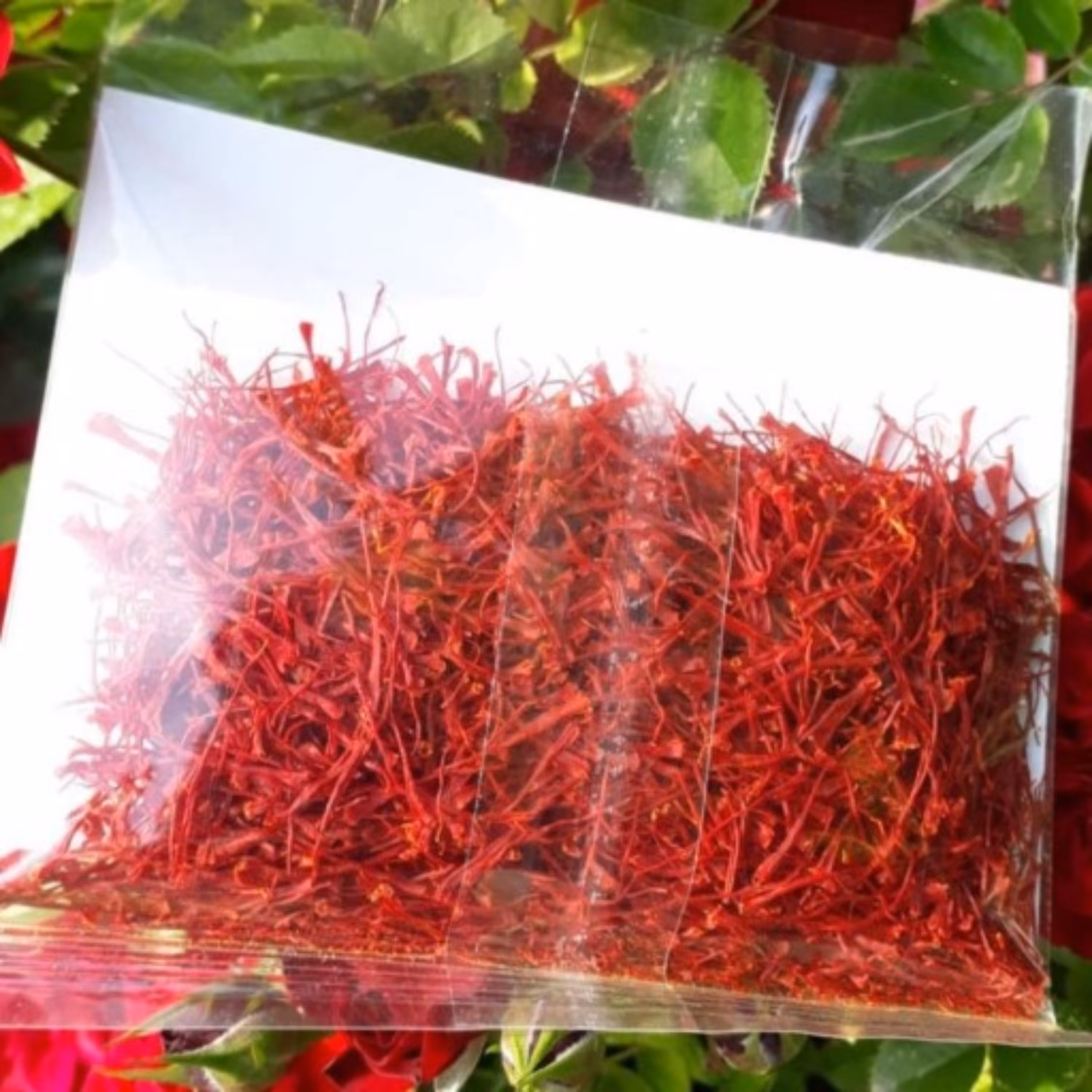 زعفران سوپرنگین قائنات (ده مثقال) صادراتی (بهترین  زعفران) با تخفیف ویژه زعفران نگین صادراتی 