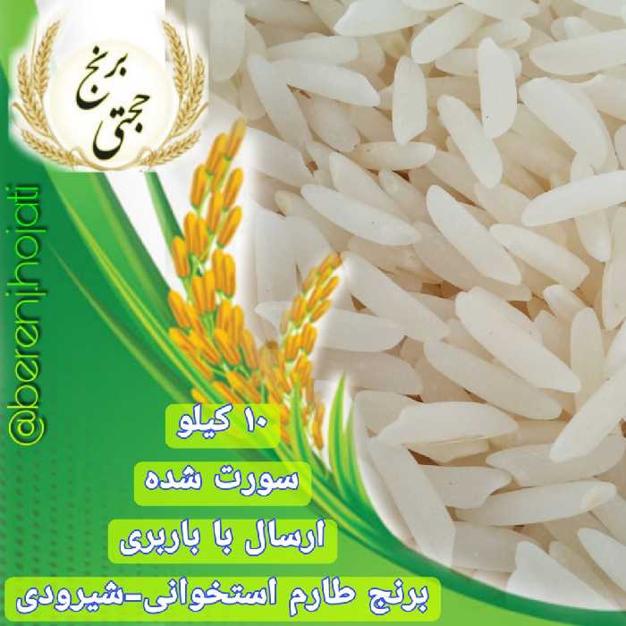 برنج طارم استخوانی اعلاء پاک شده با سورتینگ امساله (یک کیلویی) - ارسال رایگان 