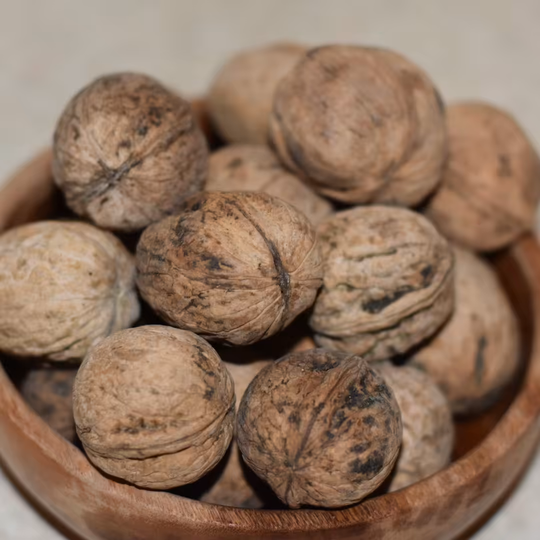 گردو ممتاز بروجرد (یک کیلوگرم)