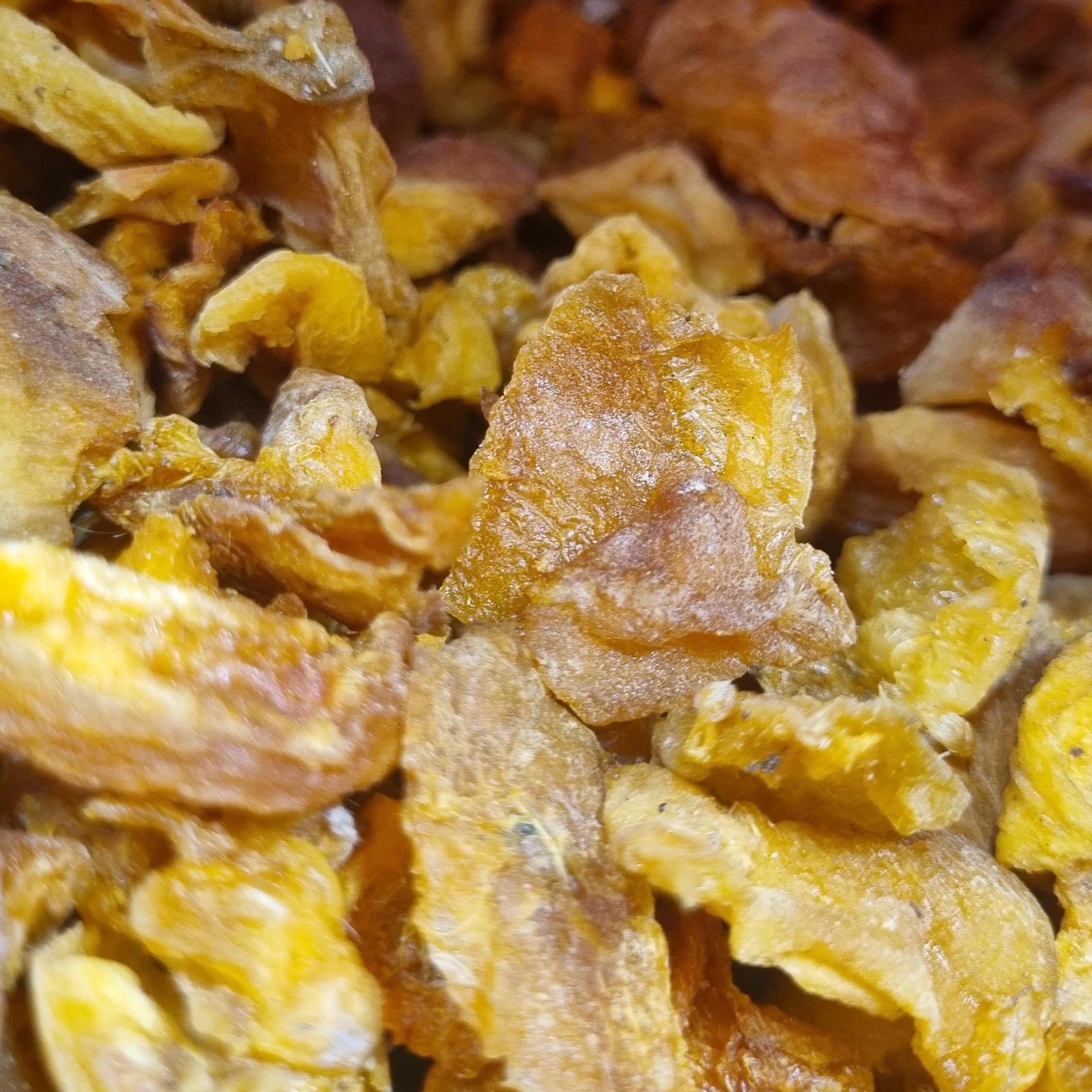 برگه زردآلو یک کیلویی