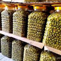 زیتون رودبار6 کیلویی