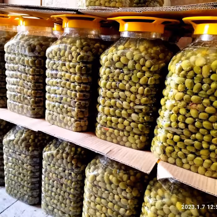 زیتون رودبار6 کیلویی