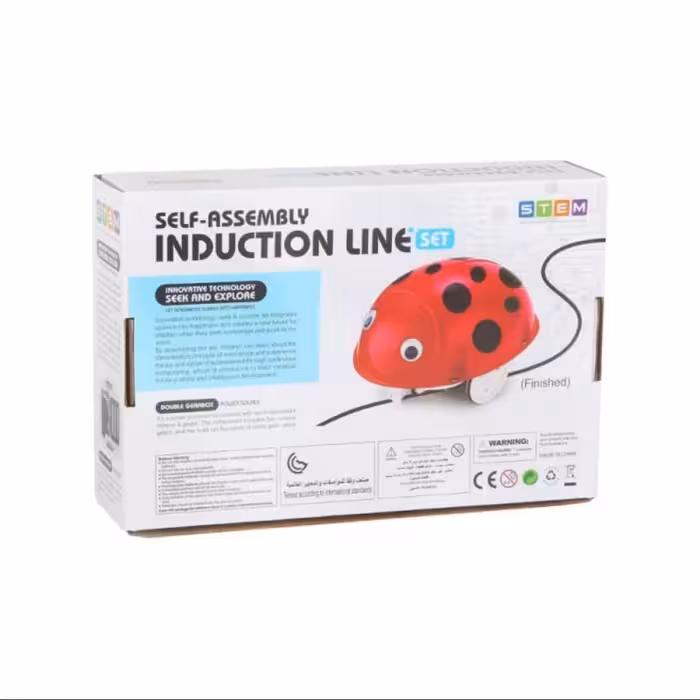 ربات تعقیب خط مدل کفشدوزک