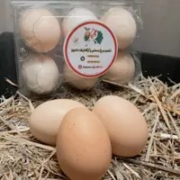 تخم مرغ محلی،اُرگانیک و بدون آنتی بیوتیک بسته 6عددی