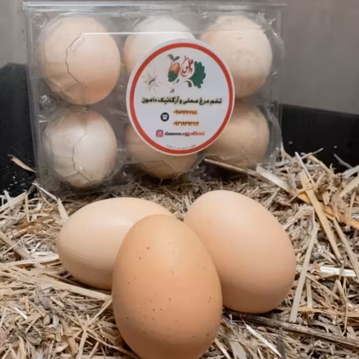 تخم مرغ محلی،اُرگانیک و بدون آنتی بیوتیک بسته 6عددی