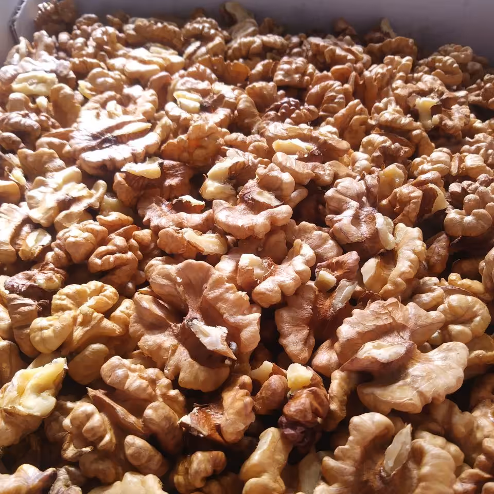 مغز گردو ایرانی اعلاء ارسال رایگان محصول کردستان 2 کیلوگرمی