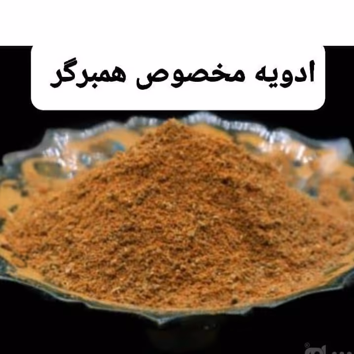 ادویه ی مخصوص همبرگر و کتلت بسته 100 گرمی