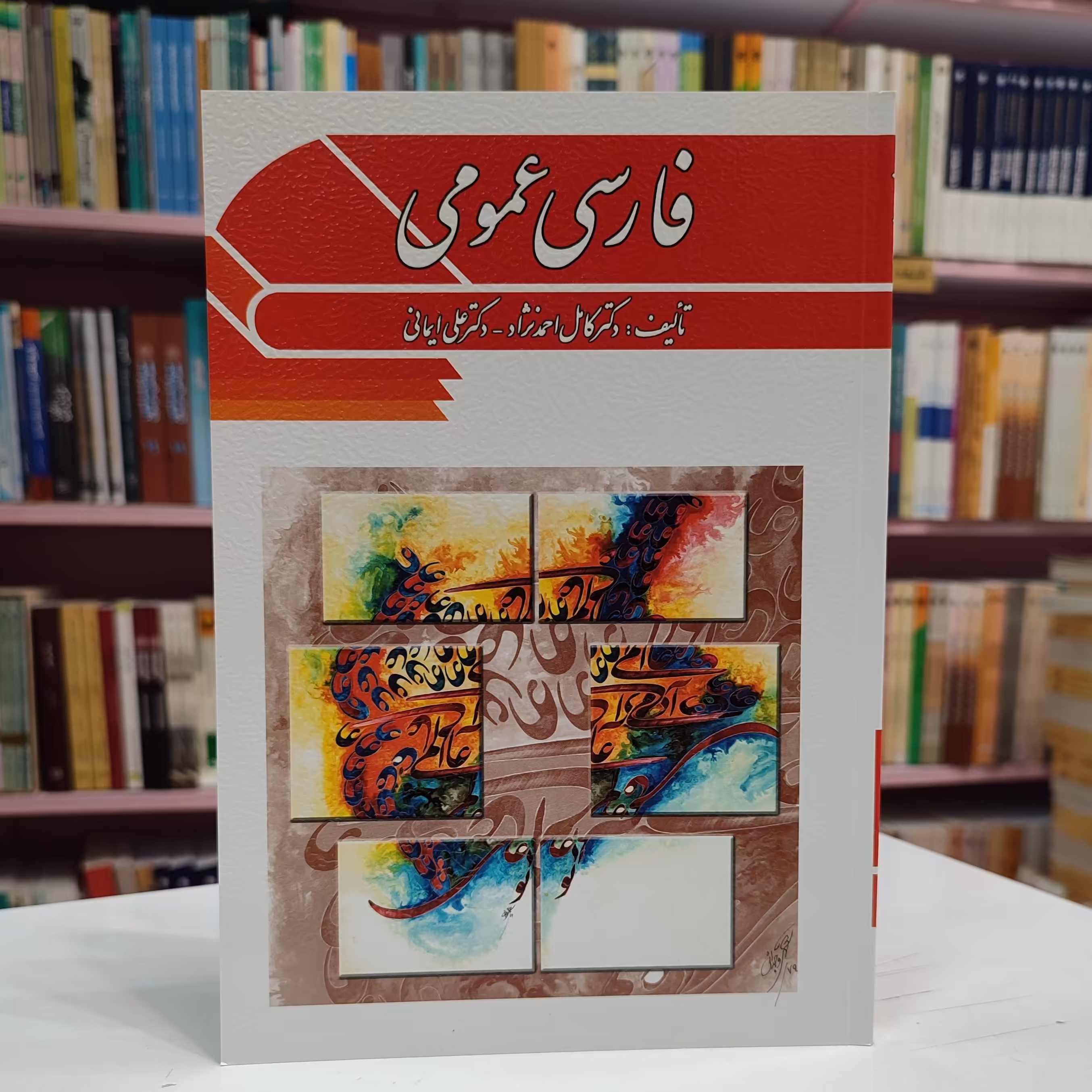 فارسی عمومی (دکتر کامل احمد نژاد-دکتر علی ایمانی)