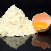 پودر سفید تخم مرغ درجه 1