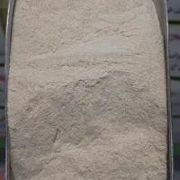 پودر سیر