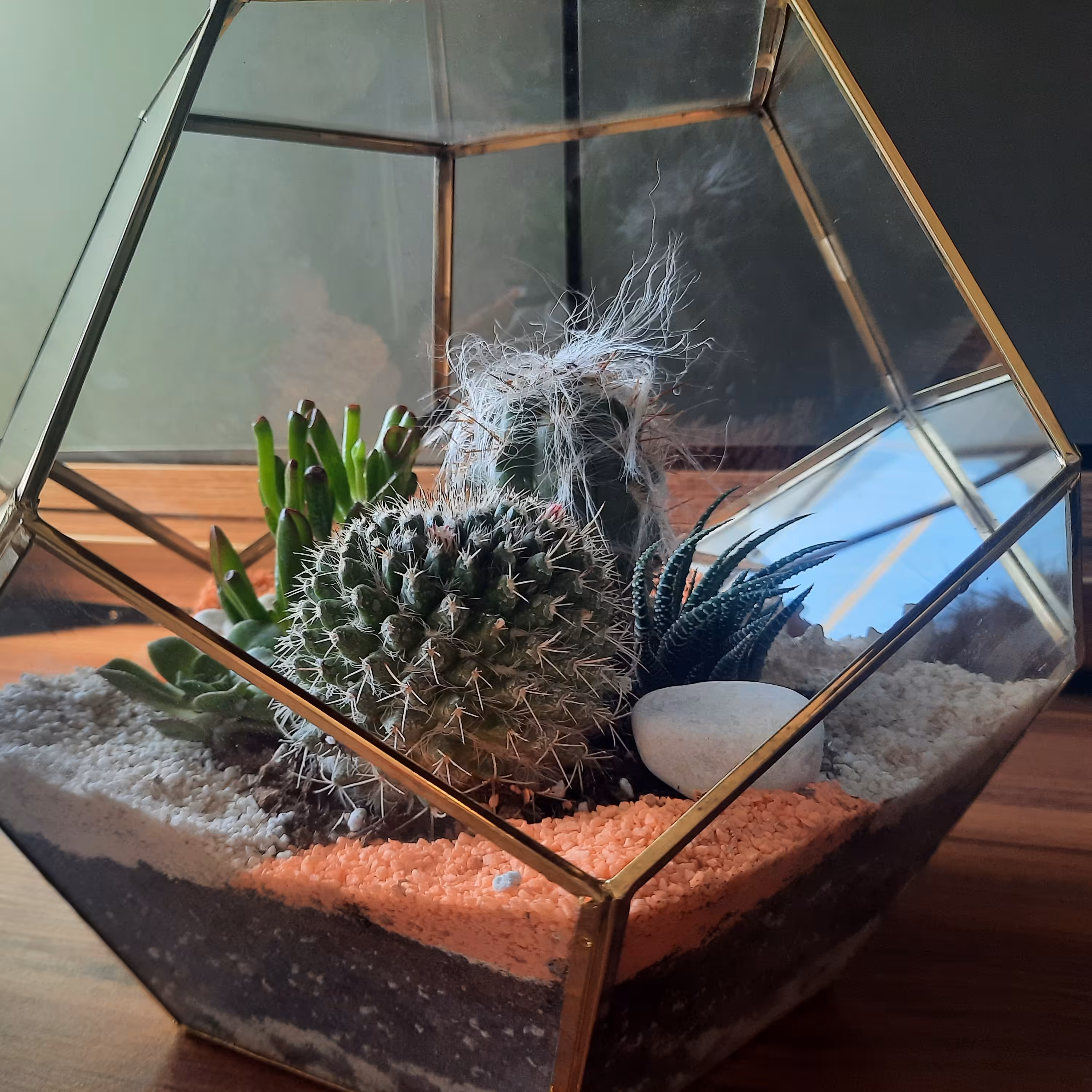 تراریوم  باغ مینیاتوری  کادویی  گلدان شیشه ای رومیزی گل و گیاه