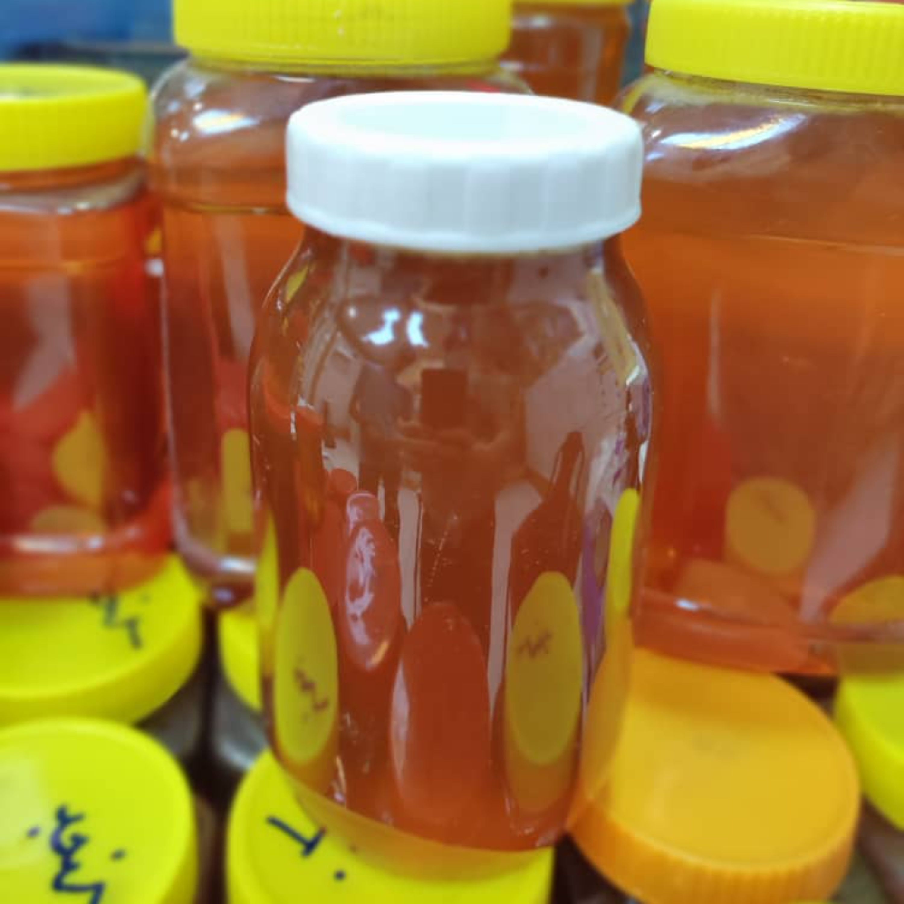عسل گون طبیعی