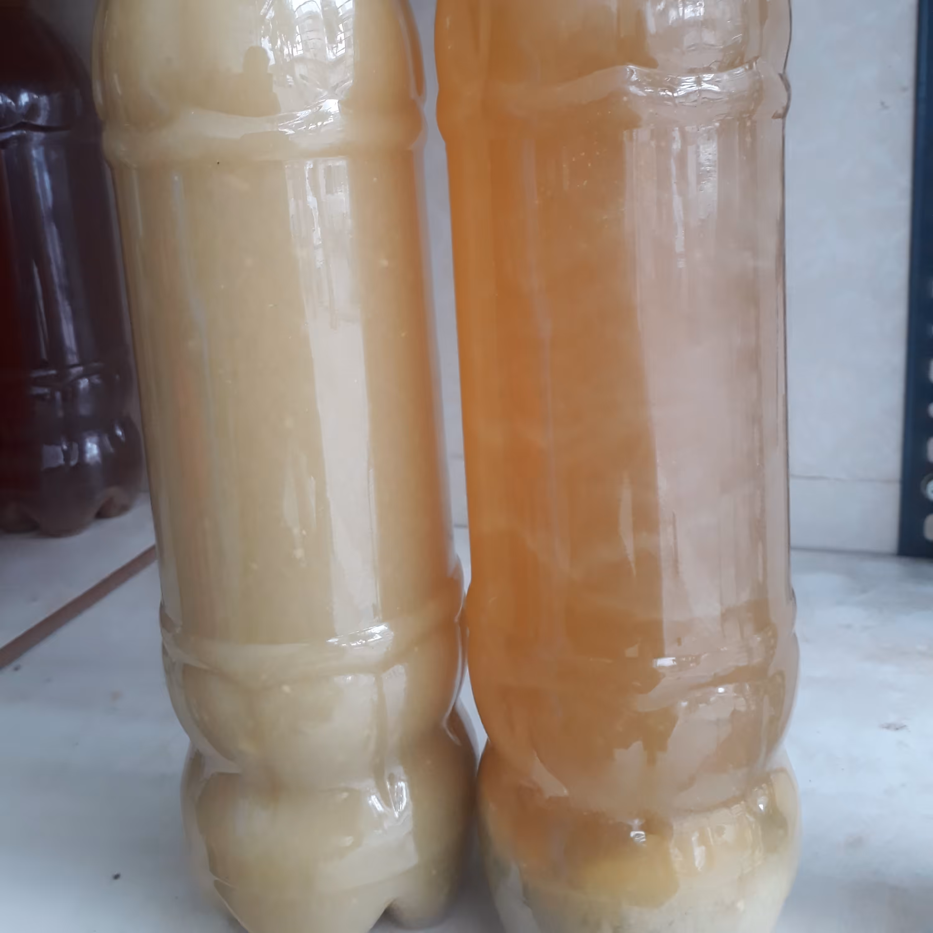 ابلیمو خالص