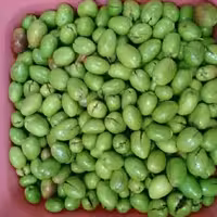 زیتون پرورده شکسته(طارم)