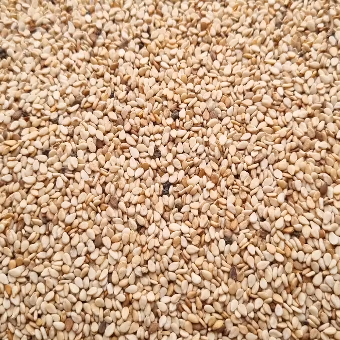 بهترین قیمت کنجد قهوه ای روشن محلی بسته یک کیلویی