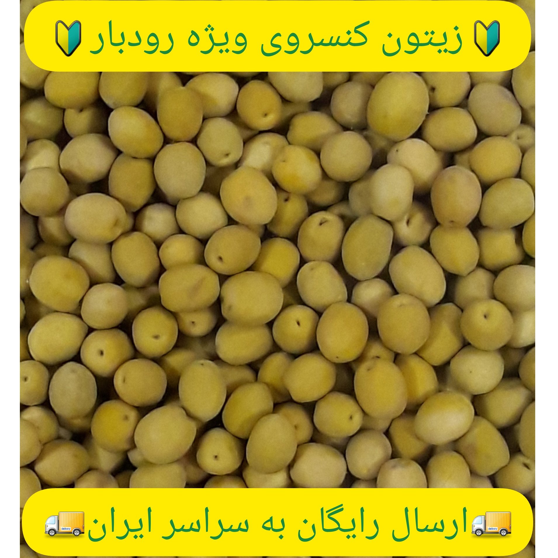 زیتون کنسروی ویژه رودبار (کیلویی)