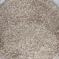 کنجد اعلا ( یک کیلو )