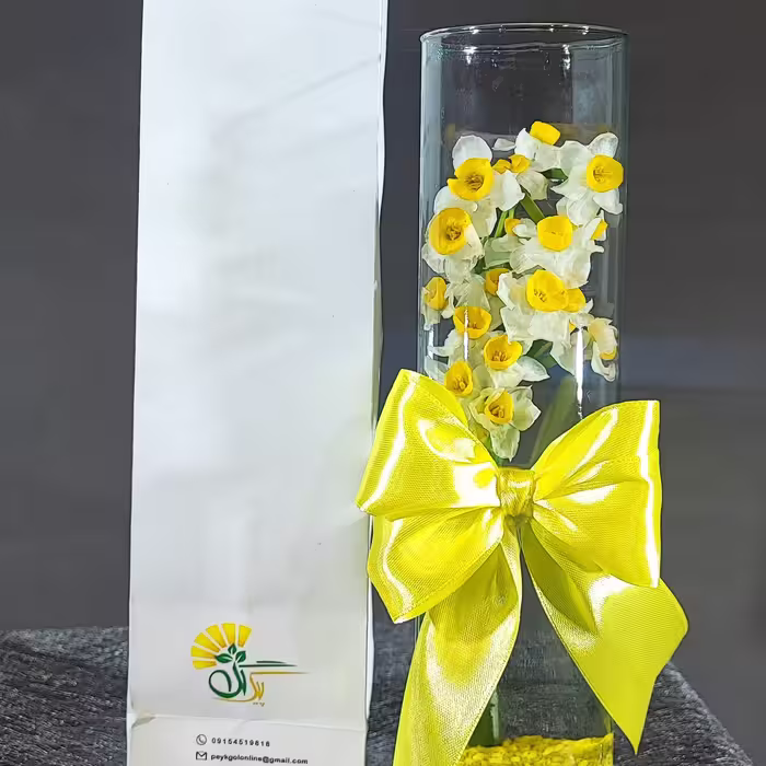 جام نرگس