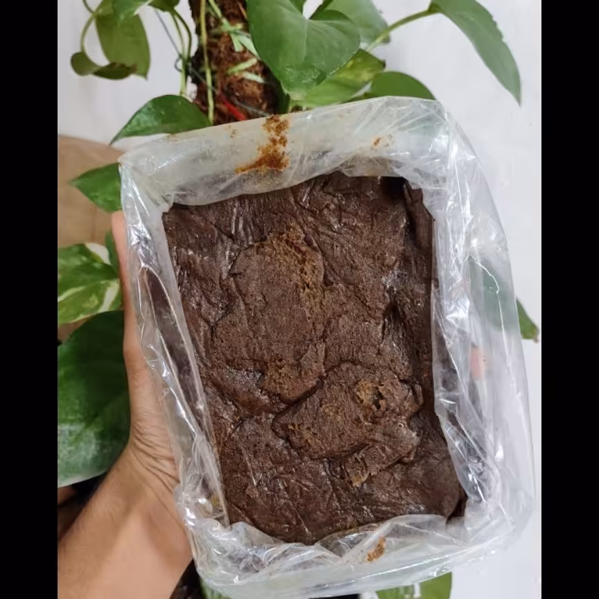 خمیر خرما خالص زرین(هاما)(یک کیلوگرمی)