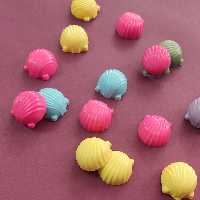 صدف صابونی کوچک