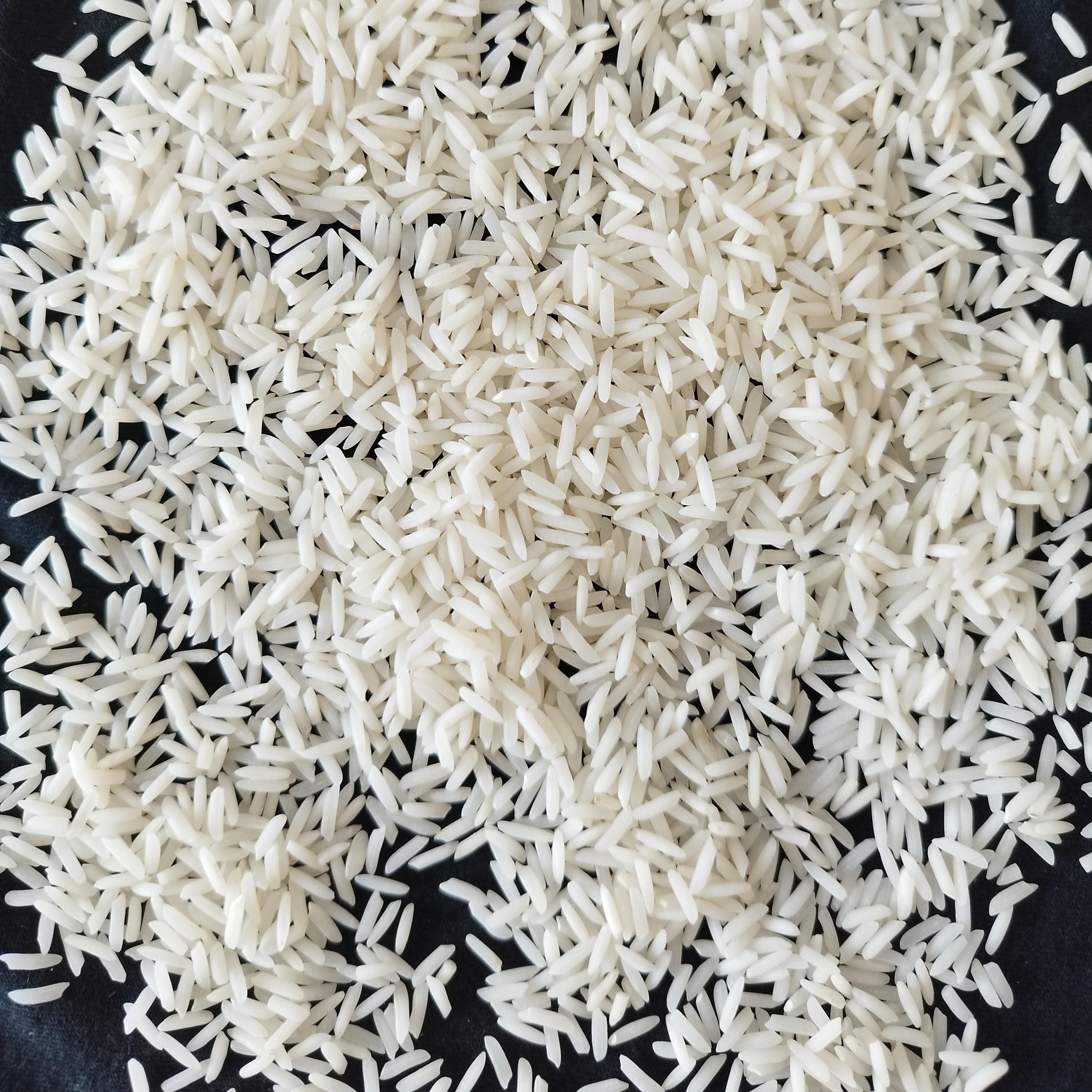 برنج طارم فریدونکنار(شیرودی) مستقیم از تولید کننده صددرصد ایرانی خالص 10کیلویی سورت شده ارسال بصورت پسکرایه