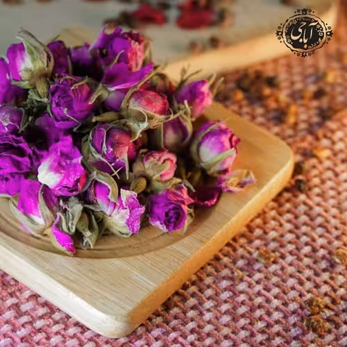 غنچه گل محمدی