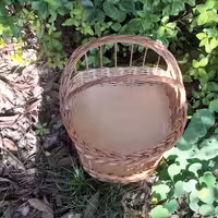 جای سیب زمینی پیاز حصیری 