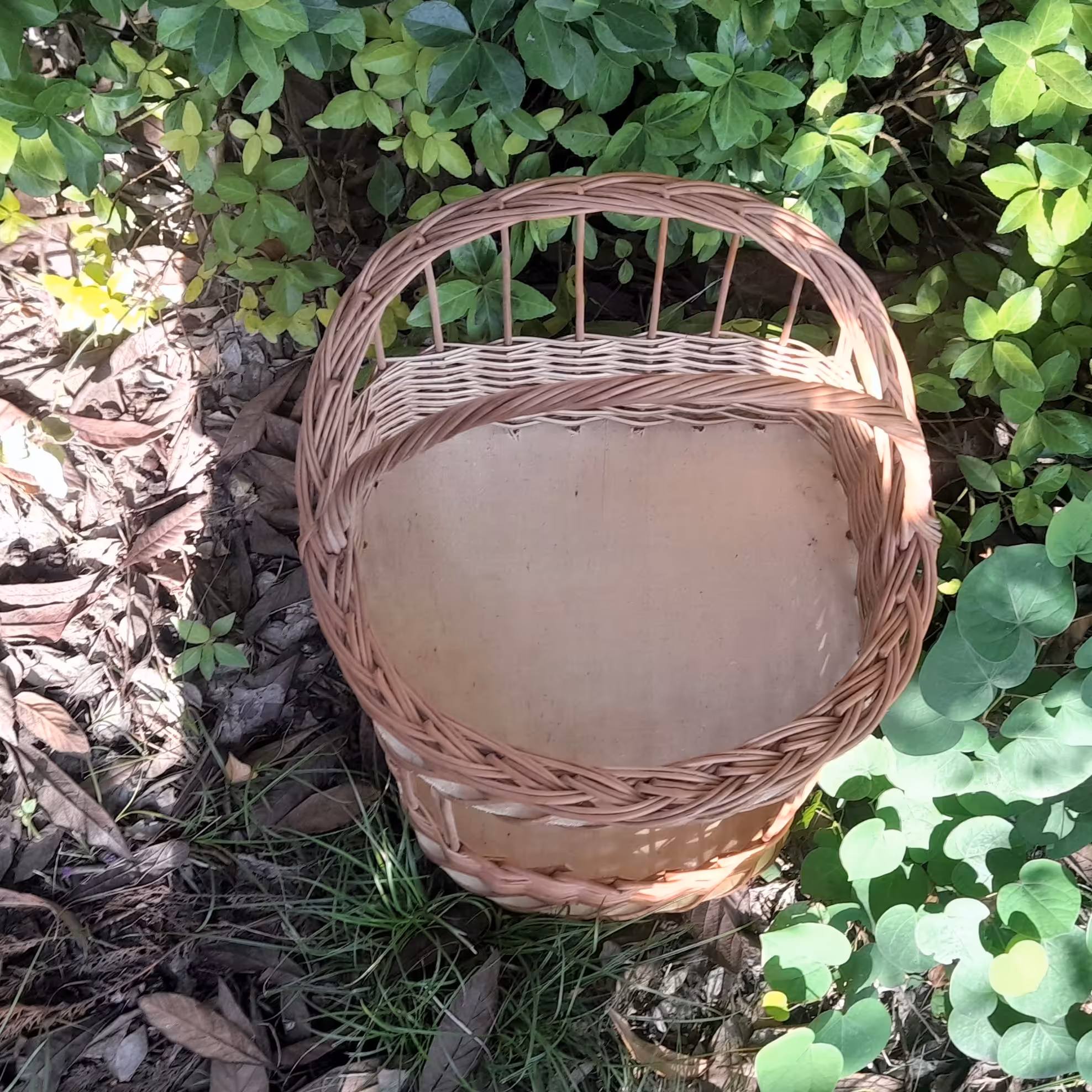 جای سیب زمینی پیاز حصیری 