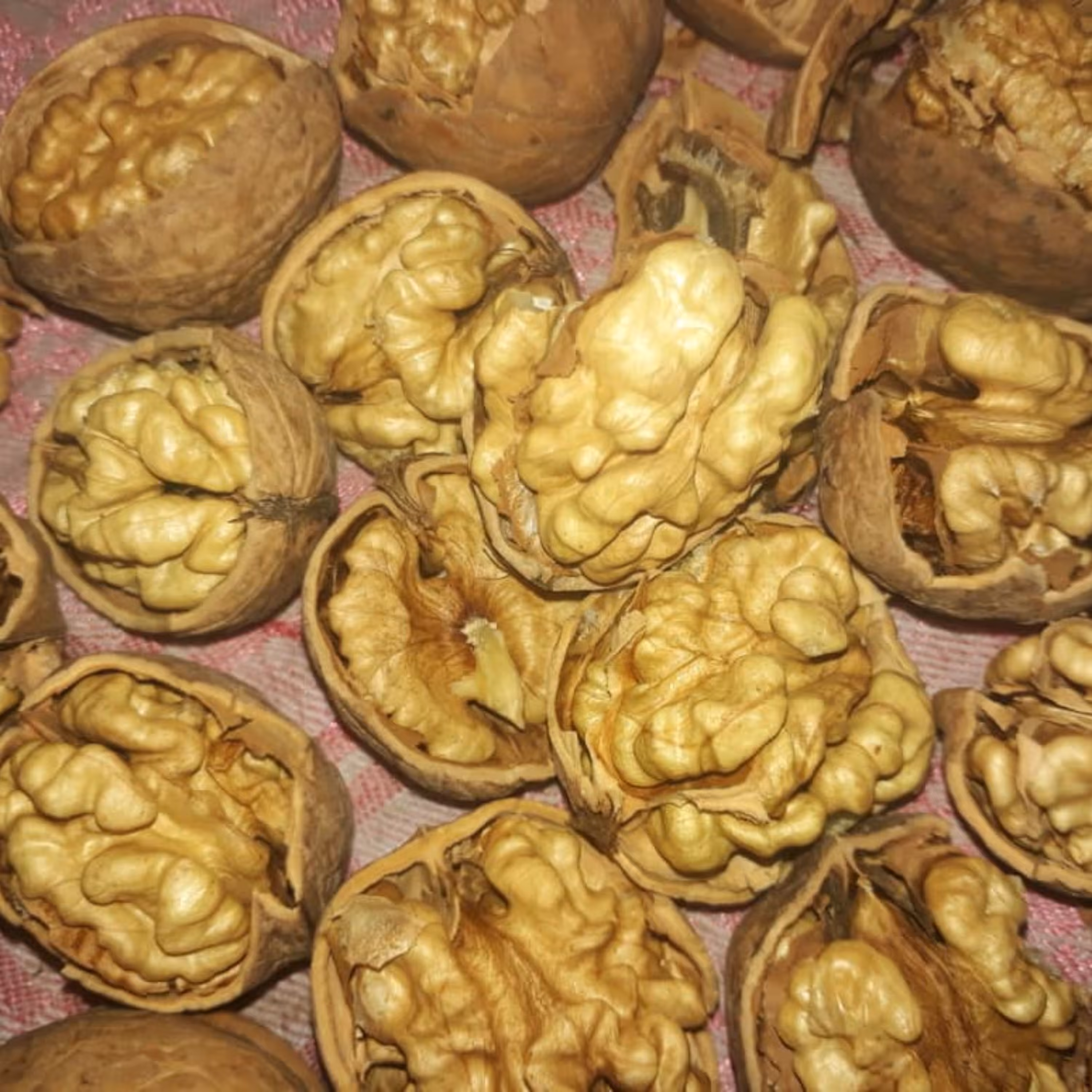 مغز گردوی اعلاءتویسرکان