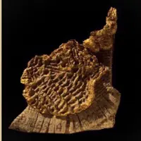سنجاق سینه دستساز Hulupuart طرح Uruk image tablet پاپیه ماشه