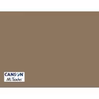 مقوا پاستل Mi-Teintes کانسون کد 336 ابعاد 65 در 50