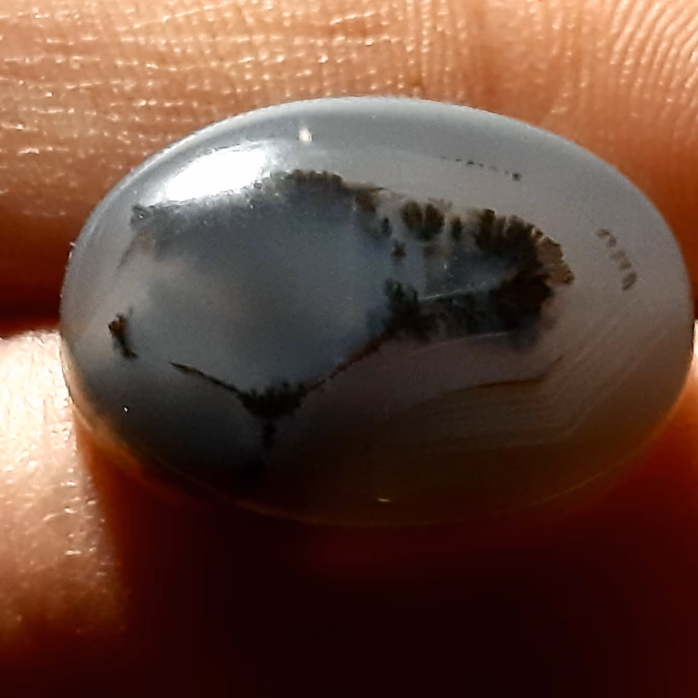 سنگ عقیق گورخر