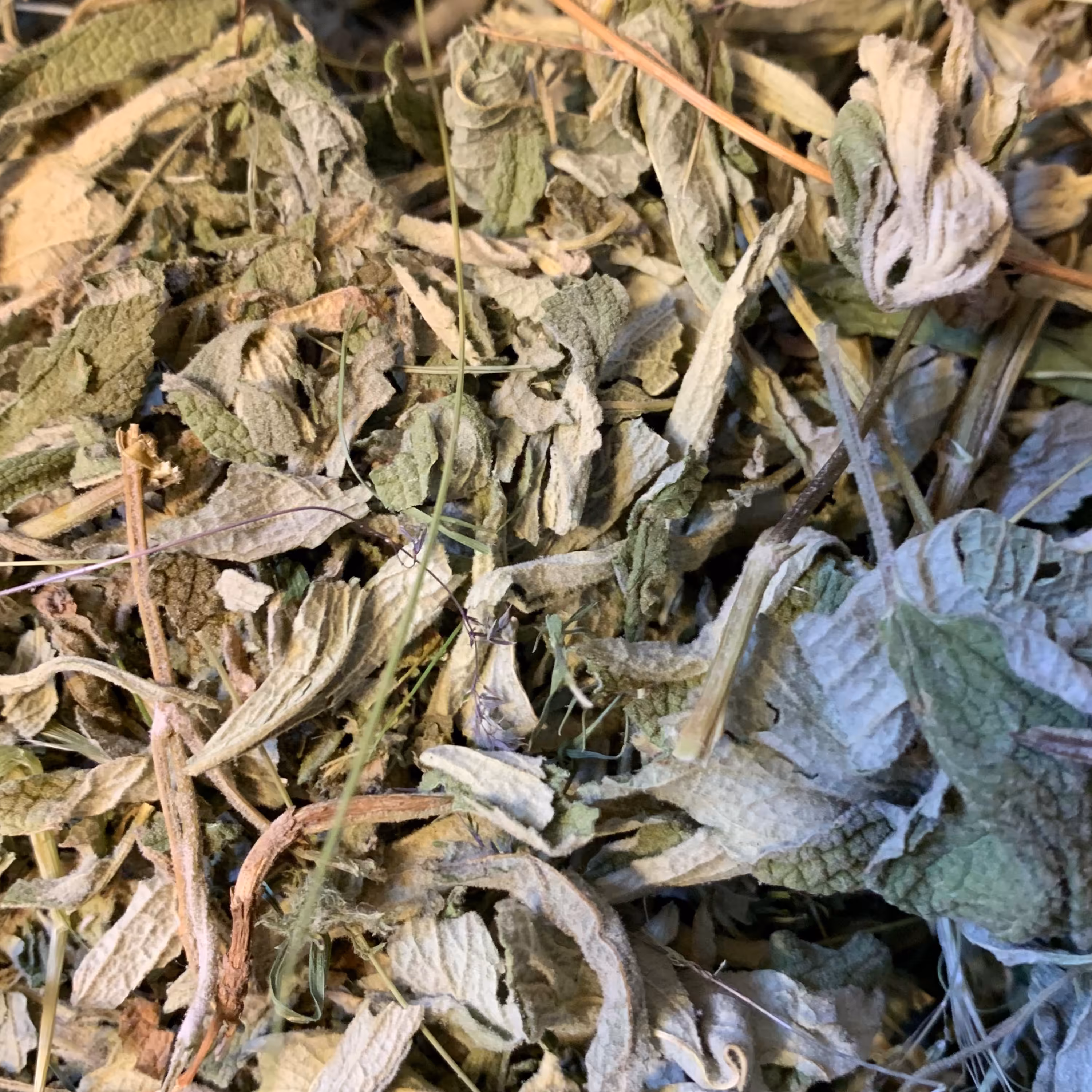 مریم گلی(200گرمی)