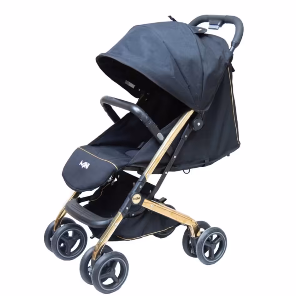 کالسکه مسافرتی مدل مینی بدنه طلایی شرکت دلیجان