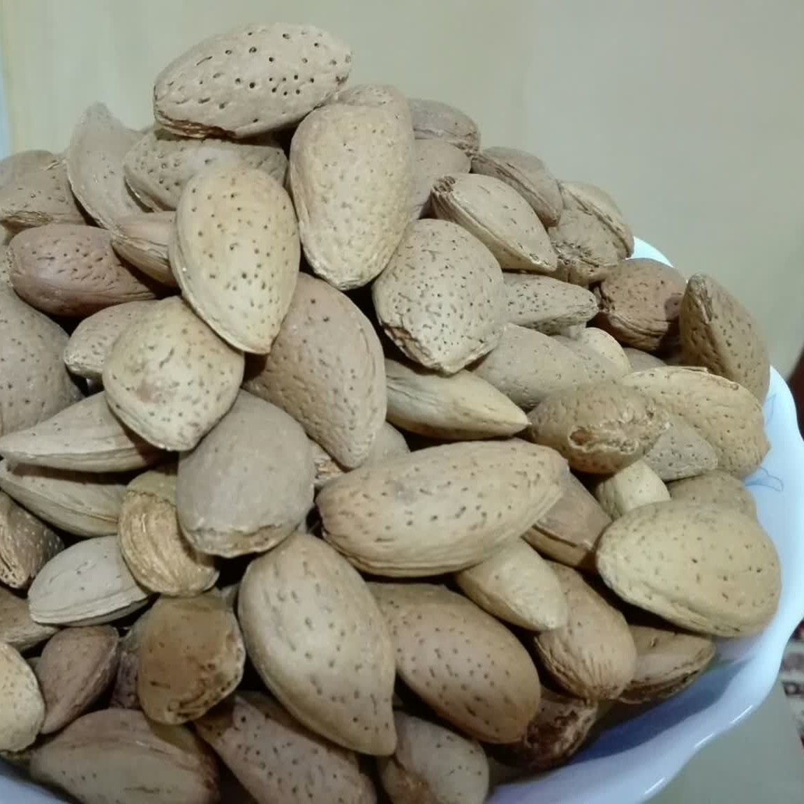 بادام سنگی آستانه