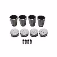 بوش و پیستون بدون رینگ 206 - نوبل