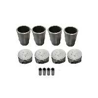 بوش و پیستون بدون رینگ 206 - نوبل