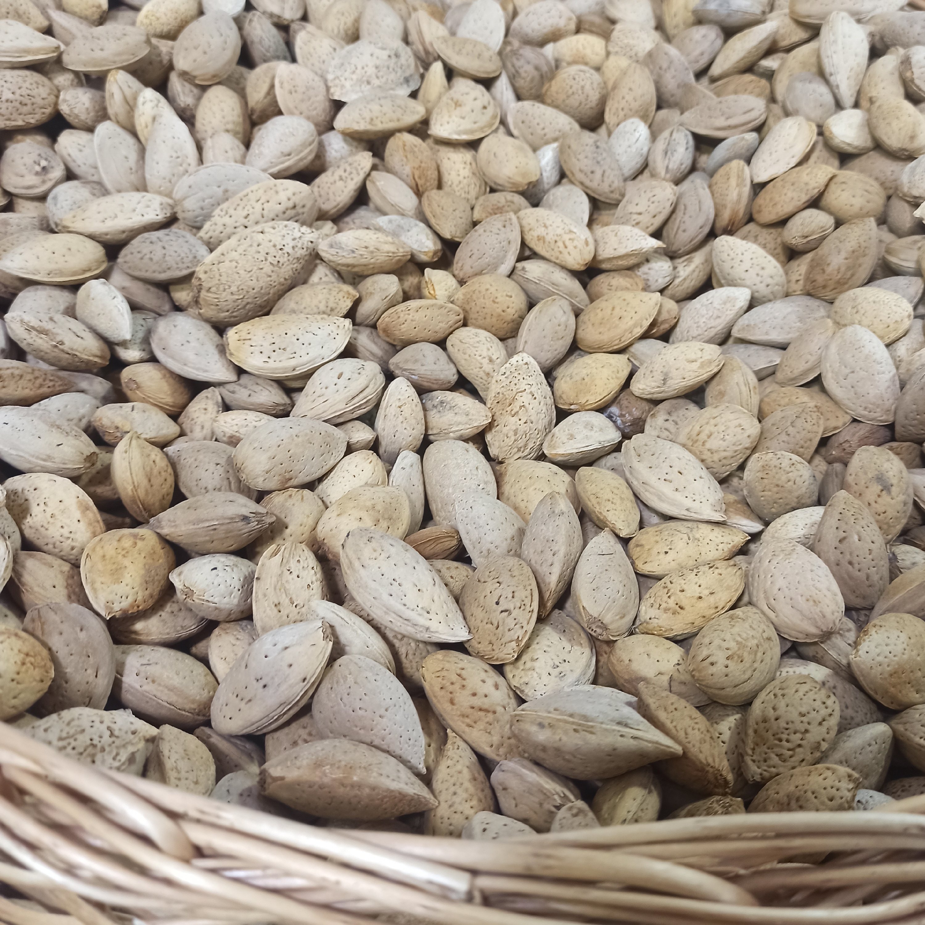 بادام سنگی ایرانی تویسرکان