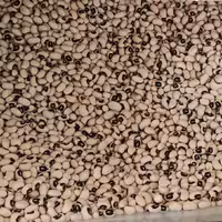 لوبیا چشم بلبلی (دو کیلو)