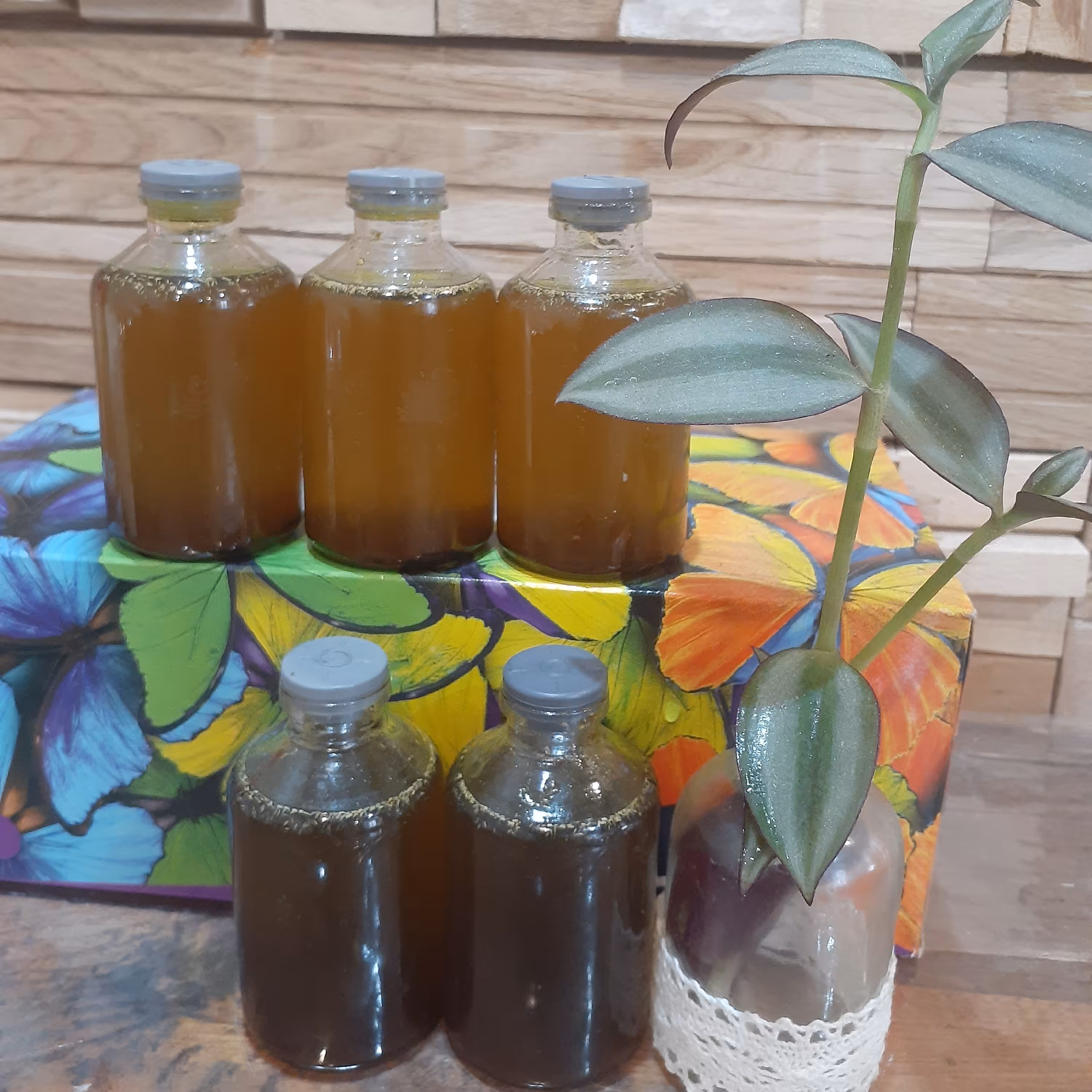 روغن کمر درد و زانو