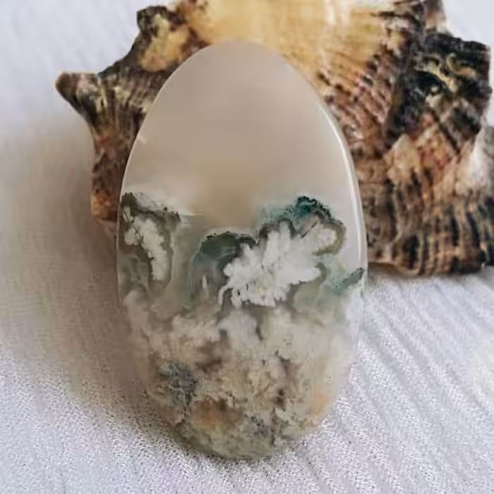 نگین شجر شکوفه فیروزه ای درشت و کمیاب 