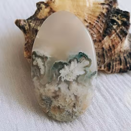 نگین شجر شکوفه فیروزه ای درشت و کمیاب 