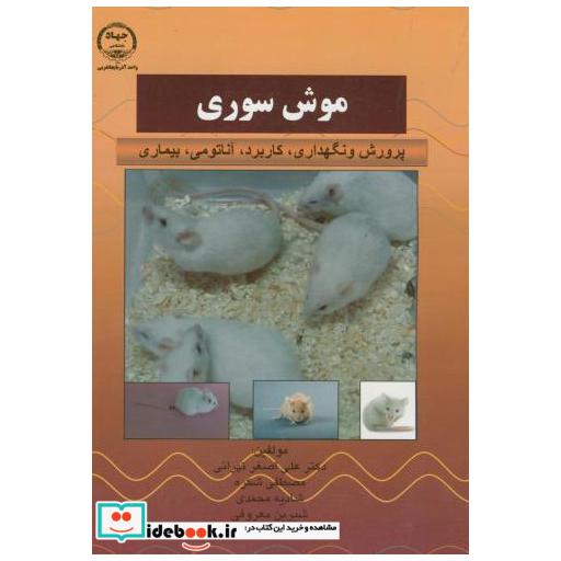 کتاب موش سوری اثر تهرانی