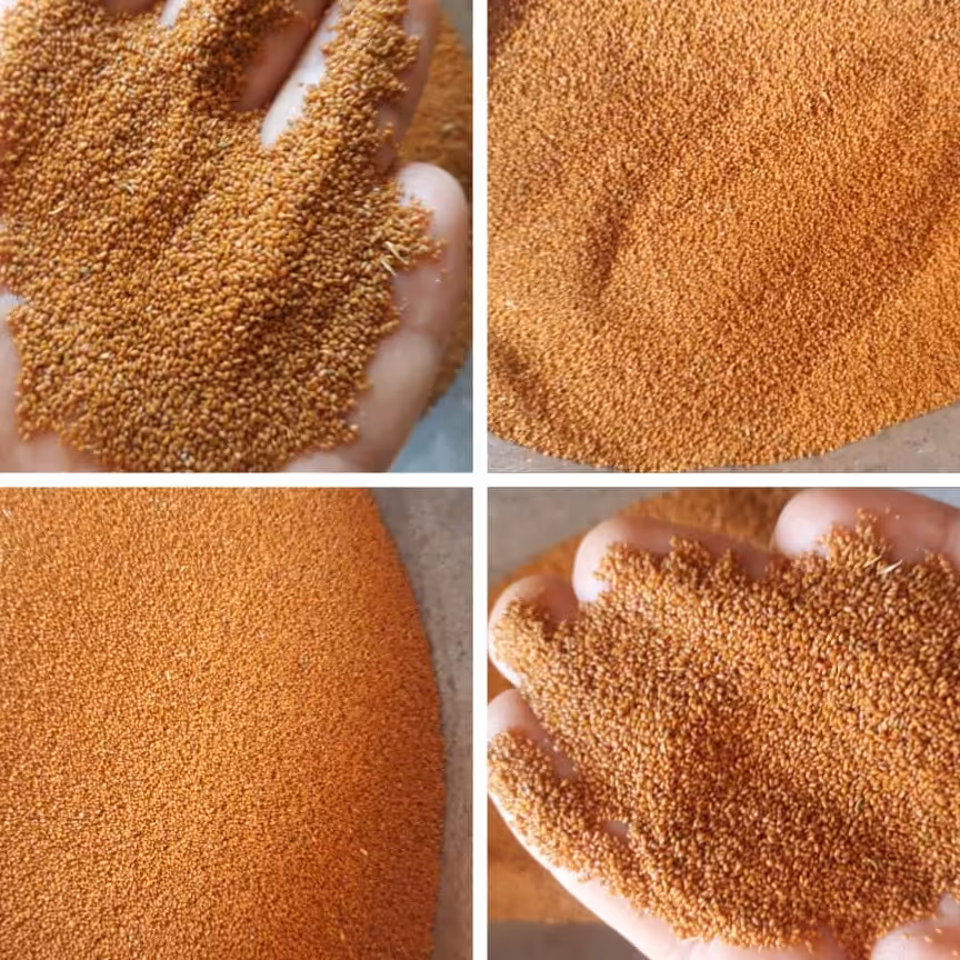 خاکشیر  تازه و تمیز