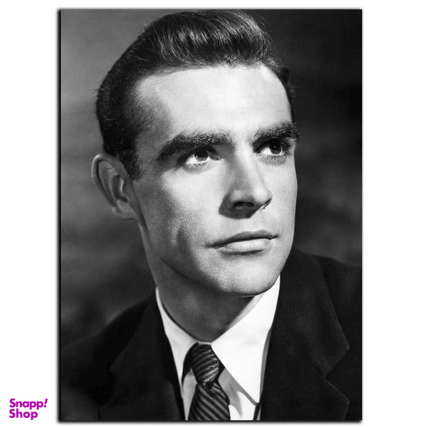 تابلو شاسی بکلیت طرح بازیگر سینما شان کانری مدل SH-S3902