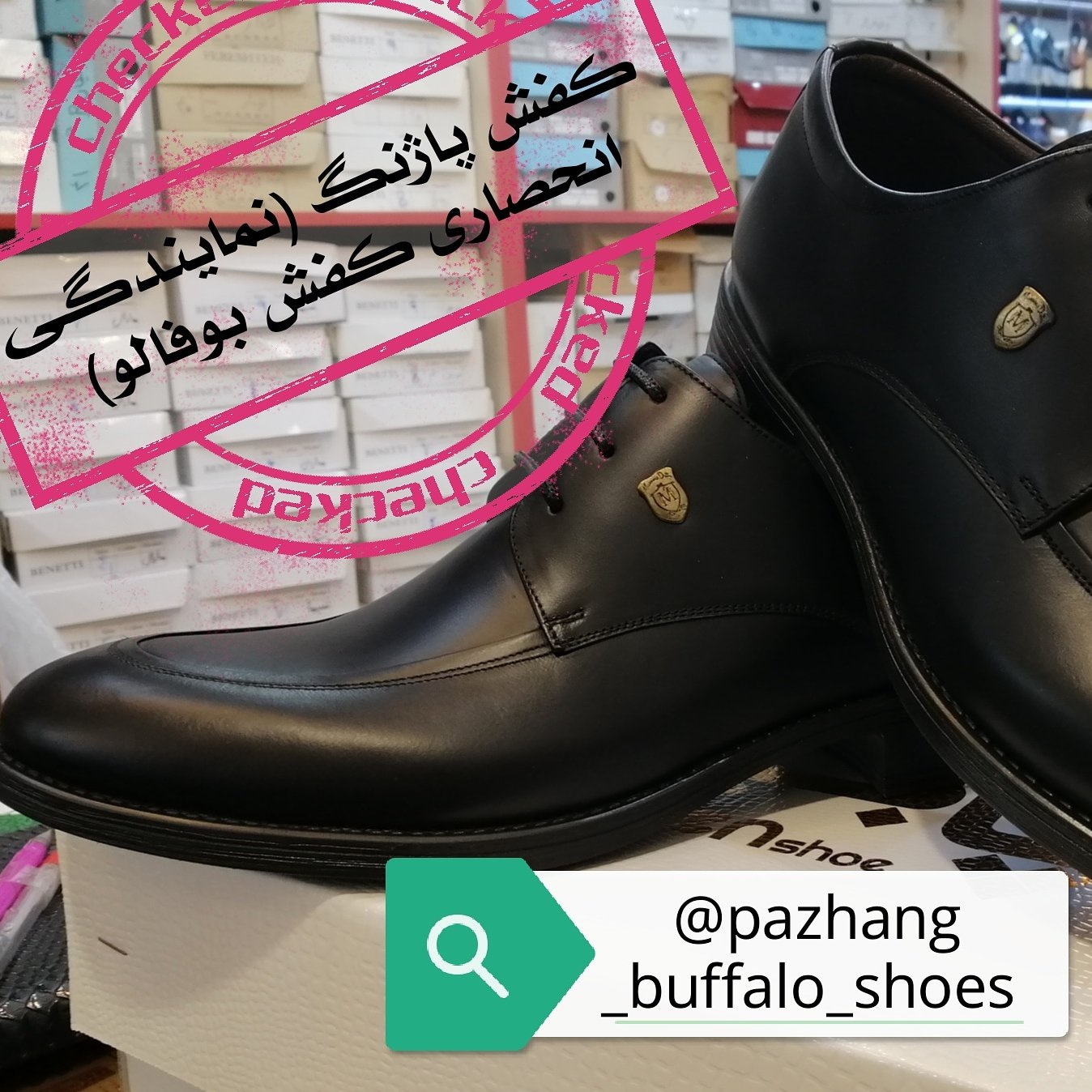 پارما بوفالو