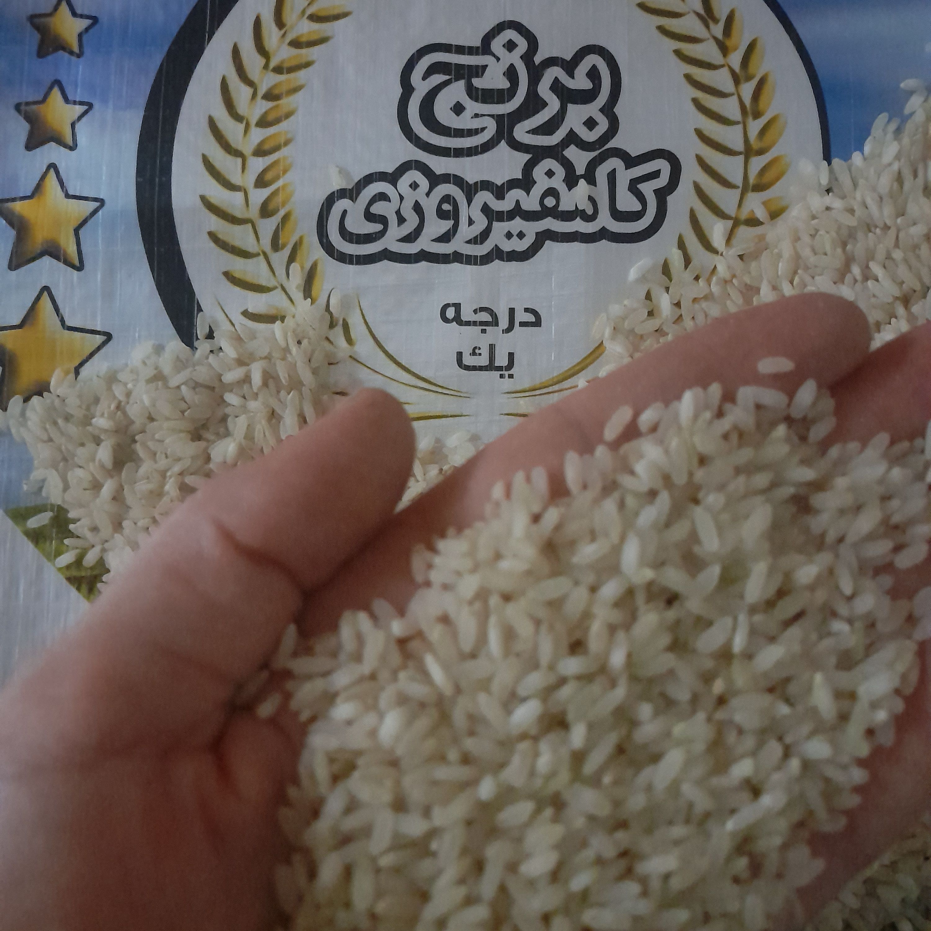 برنج کامفیروزی