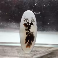 شجر قائن طبیعی و معدنی کد 918